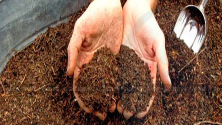 Improved Soil Worm Fertilizer preparation method for you ... Improved Soil Worm Fertilizer preparation method for you ...
