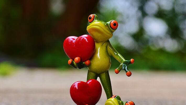 Love Debate Sabeena M Sali Love Debate Sabeena M Sali