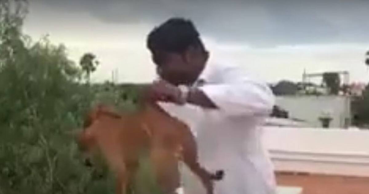 Man throwing dog off terrace in viral video finally identified