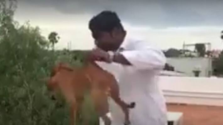 Man Throwing Dog from Rooftop, Police Say He's MBBS Student Man Throwing Dog from Rooftop, Police Say He's MBBS Student