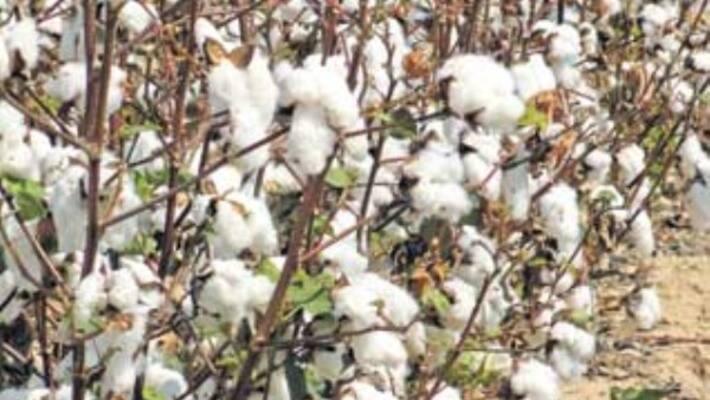 Integrated crop protection ways to help protect crops ... Integrated crop protection ways to help protect crops ...