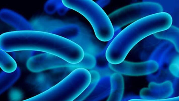 palakkad fears diphtheria scare palakkad fears diphtheria scare
