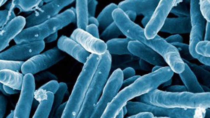 central government award for kerala to eliminating tuberculosis central government award for kerala to eliminating tuberculosis