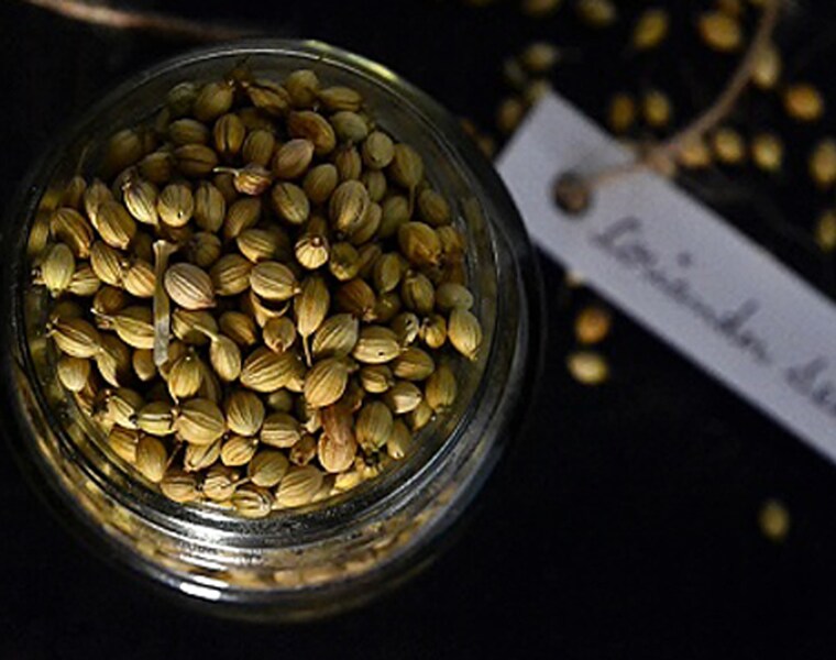 What are the benefits of coriander check out here