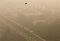 Delhi's 'poor' air quality days down by 33 per cent: Javadekar