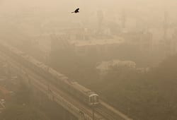 Delhi's 'poor' air quality days down by 33 per cent: Javadekar