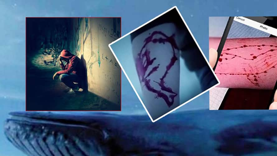 Another Blue Whale challenge victim? Chennai girl jumps off 7th floor