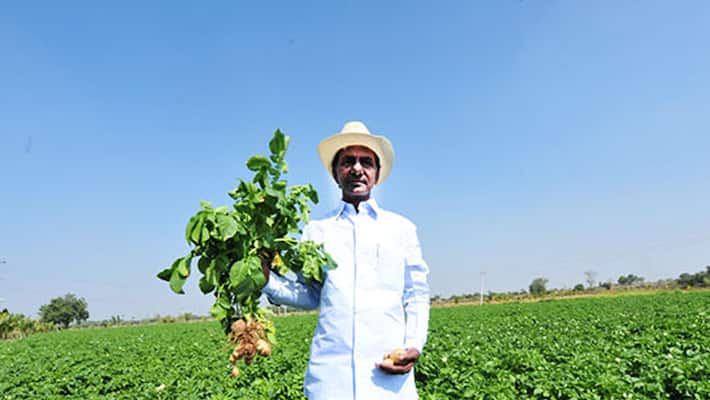 the ias officer who authored KCRs ambitious Raite Raju program the ias officer who authored KCRs ambitious Raite Raju program