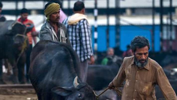 HC Commissioners police officer assaulted by a group of women at illegal slaughter house HC Commissioners police officer assaulted by a group of women at illegal slaughter house
