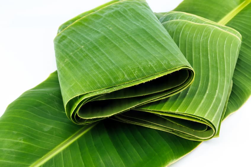Know about the benefits of eaten food in banana leaf BDD