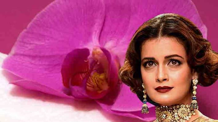 Dia Mirza opens up about her battle with nepotism and favouritism BJC Dia Mirza opens up about her battle with nepotism and favouritism BJC