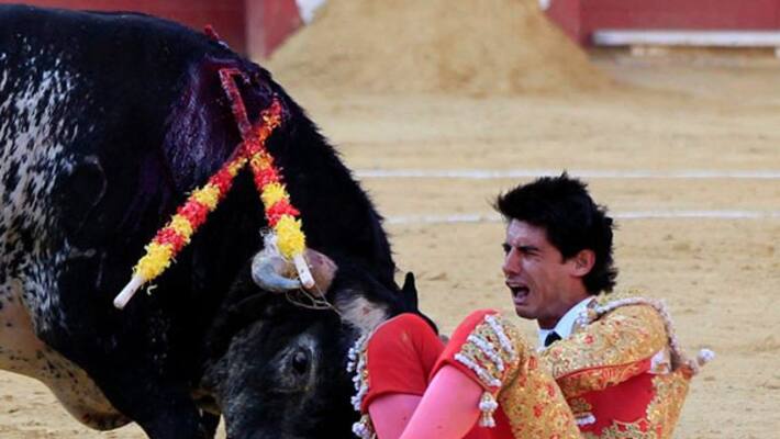 matador victor barrio killed by bull in spain matador victor barrio killed by bull in spain