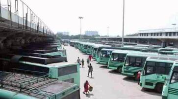TN Govt order to fill vacancies for driver cum conductor posting in tnstc TN Govt order to fill vacancies for driver cum conductor posting in tnstc