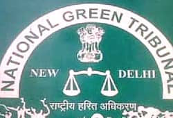 Uttar Pradesh: NGT seeks report on illegal commercial establishments from state chief secretary