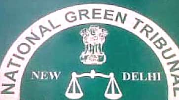 Uttar Pradesh: NGT seeks report on illegal commercial establishments from state chief secretary