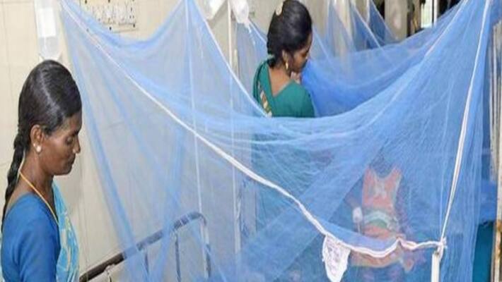 Health officers distributes mosquito to needy in Davanagere Health officers distributes mosquito to needy in Davanagere