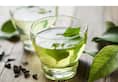 Lifeline: Five reasons why you should start drinking green tea