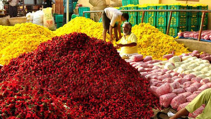 onam flower onam flower