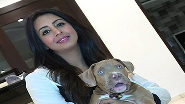Sanjana Dog Story Sanjana Dog Story