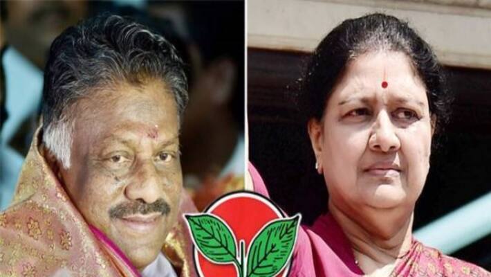 If the number of legislators is sufficient to allocate the double leaf mark, the Election Commission may have allocated the symbol for Sasikala in April If the number of legislators is sufficient to allocate the double leaf mark, the Election Commission may have allocated the symbol for Sasikala in April