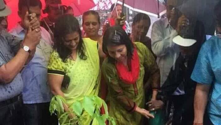 Mumbai’s Vasai-Virar Mayor waters plants despite heavy rains and people can’t stop laughing Mumbai’s Vasai-Virar Mayor waters plants despite heavy rains and people can’t stop laughing