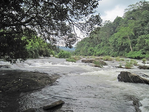 <p>বিবরণঃ সারান্ডা জঙ্গল জায়গাটি নির্ঝুম, শান্ত। কর্মব্যস্ততা কাটিয়ে প্রকৃতির কোলে দুটি দিন ঘুরেই আসা যায়। জায়গাটা থেকে হোটেল কিংবা কটেজ কোনোটাই বেশি দূরে নয়। </p>