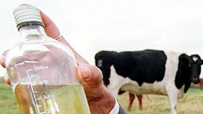 Will 'cow urine hand sanitizer' on Amazon protect you from coronavirus? Will 'cow urine hand sanitizer' on Amazon protect you from coronavirus?