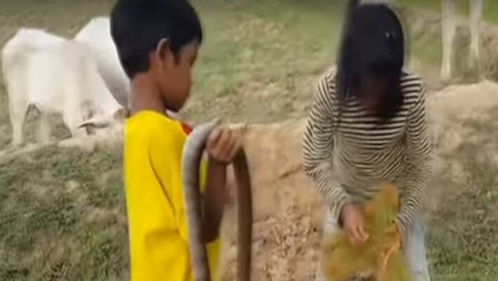 Amazing Children Catch snakes Amazing Children Catch snakes