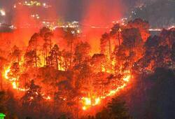 Brazil's Amazon rainforest burns at record rate; Sau Paolo experiences dark afternoon