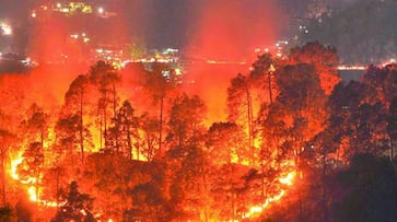 Bandipur disaster authorities declare forest fires national disaster
