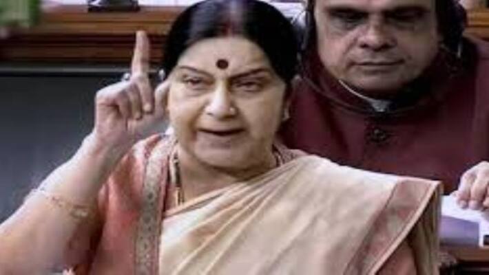 MInister Sushma Swaraj slams Pakistan In United Nations meeting MInister Sushma Swaraj slams Pakistan In United Nations meeting