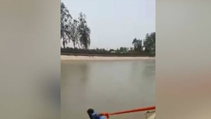 Sikh hero breaches turban protocol to save drowning dog Sikh hero breaches turban protocol to save drowning dog