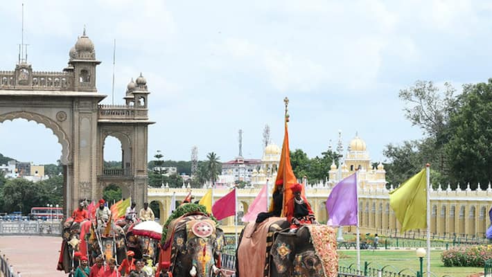 Mysuru Dasara: COVID-19 test must for those taking part in Jamboo Savari -ymn Mysuru Dasara: COVID-19 test must for those taking part in Jamboo Savari -ymn