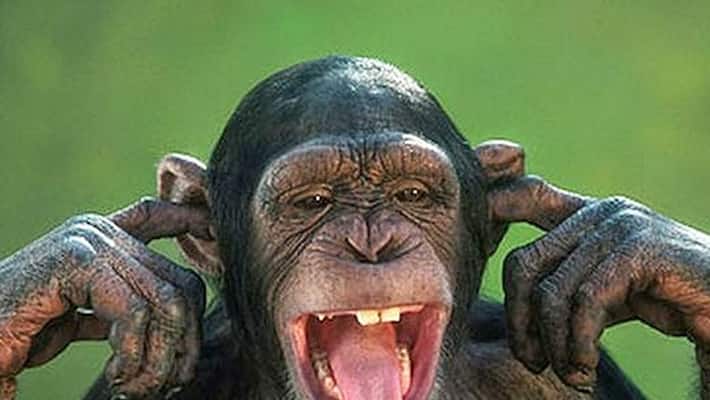 police allegedly misuses money given by farmer who claimed to have grabbed from monkey police allegedly misuses money given by farmer who claimed to have grabbed from monkey