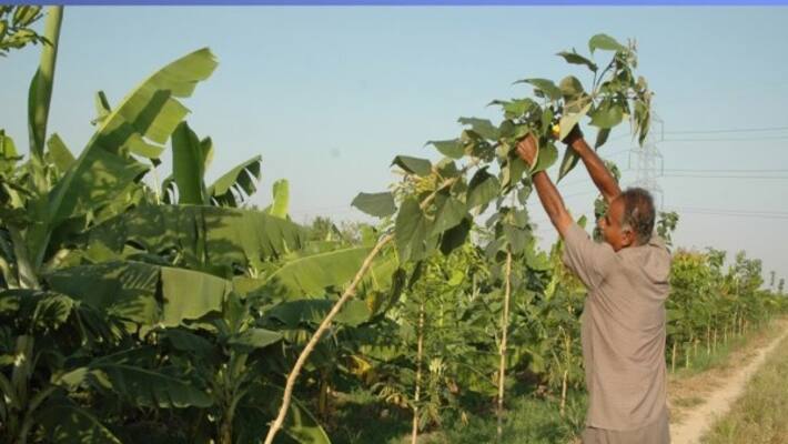 These two management are important in bubble cultivation technology ... These two management are important in bubble cultivation technology ...