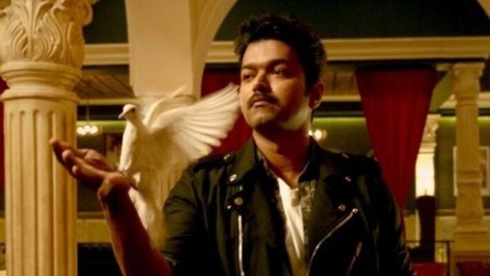 Mersal new problem in release delayed Animal welfare Mersal new problem in release delayed Animal welfare