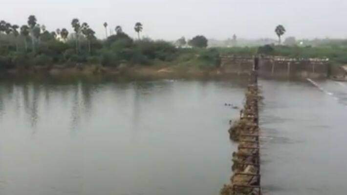 commission said dont eat kosasthalai river fishes commission said dont eat kosasthalai river fishes
