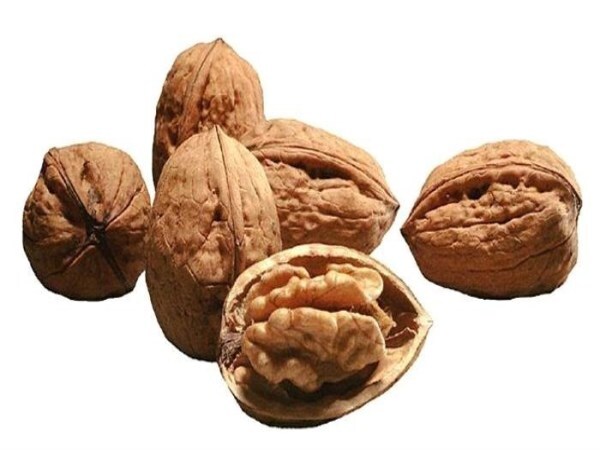 Know about these 8 foods that work like magic to reduce hair loss BDD