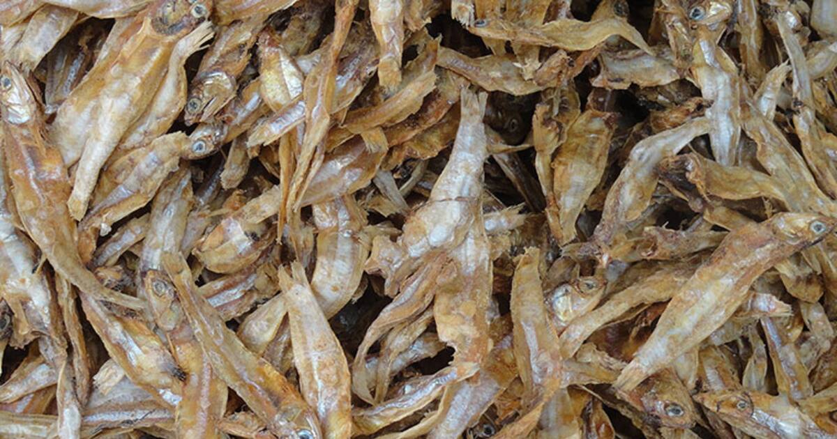 என்ன கருவாட்டில் இத்தனை நன்மைகள் இருக்கா...தெரிந்து கொள்வோம் வாங்க!