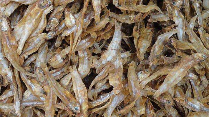 marati actor trun to dry fish sale marati actor trun to dry fish sale