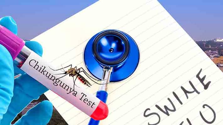 Five die in Karnataka because of swine flue Five die in Karnataka because of swine flue