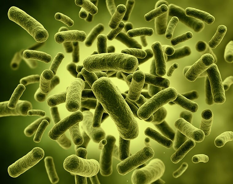 Bacterial vaginosis in women can be caused by microbes on penis in study