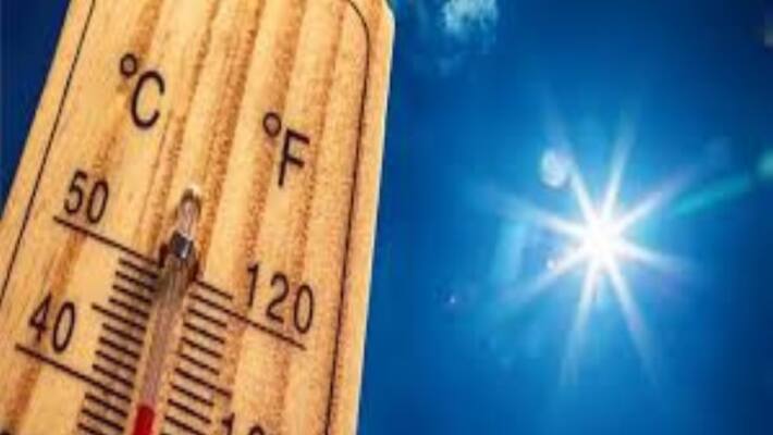 In andra predesh 5 coolies are dead for heavy sun shine In andra predesh 5 coolies are dead for heavy sun shine