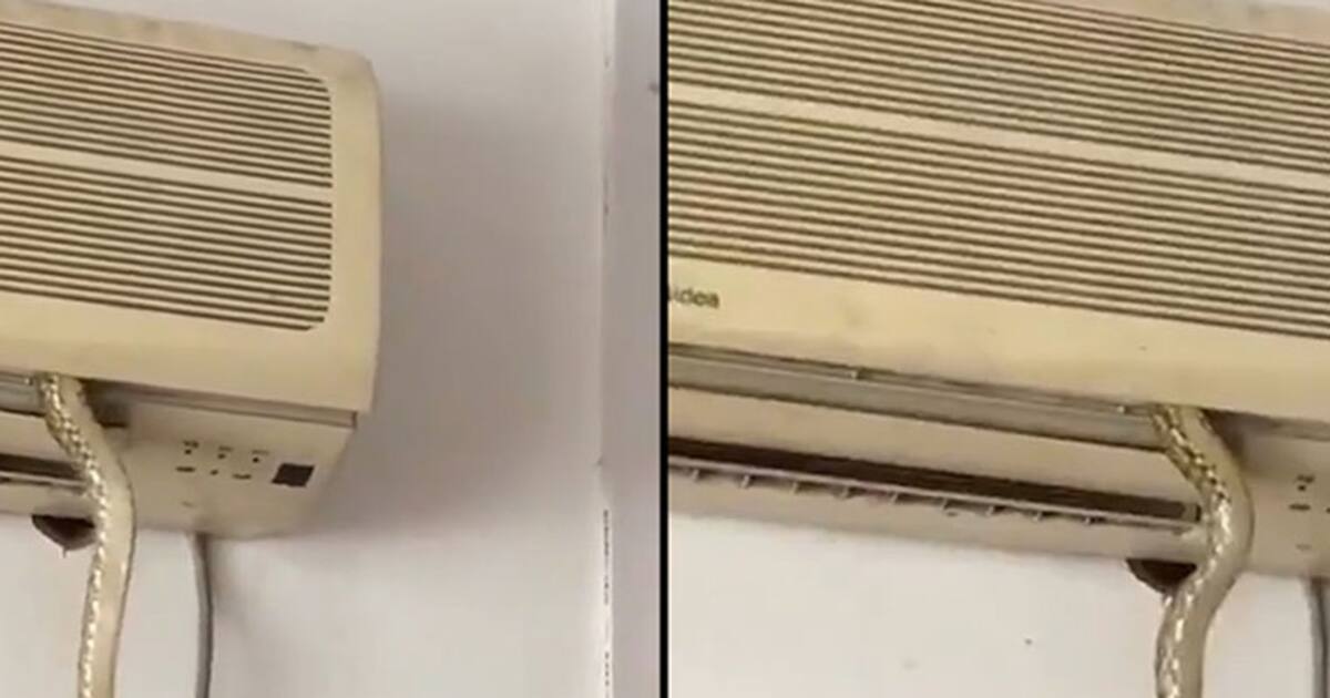 Snake comes out of an air conditioner to hunt its prey