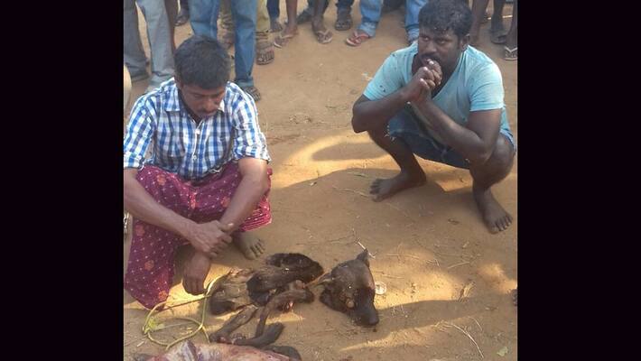 officials confirm that dog meat was sold near wine shops not at hotels officials confirm that dog meat was sold near wine shops not at hotels