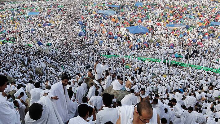 luggage of foreign haj pilgrims will bring to their residence luggage of foreign haj pilgrims will bring to their residence