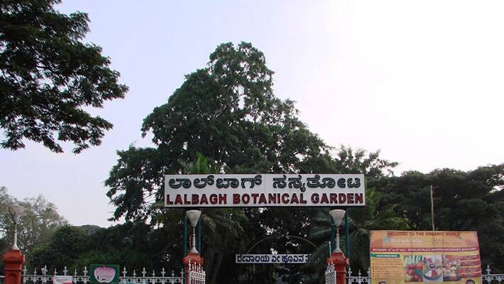 Flower Show From Janaury 19th To 26th In Lalbagh At Bengaluru gvd Flower Show From Janaury 19th To 26th In Lalbagh At Bengaluru gvd