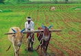 Payments to farmers: Government says Aadhaar not compulsory for first installment