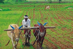 Payments to farmers: Government says Aadhaar not compulsory for first installment