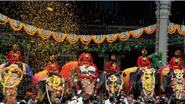 Everything you want to know about the Dasara elephants Everything you want to know about the Dasara elephants